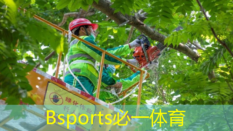体育场馆场地设施：顶级草坪 最佳球场